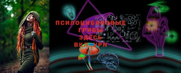 метадон Гусев
