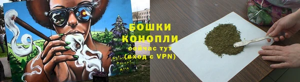 метадон Гусев