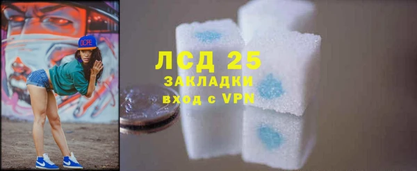 амф Гусь-Хрустальный