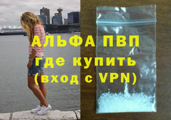 бошки Дмитров