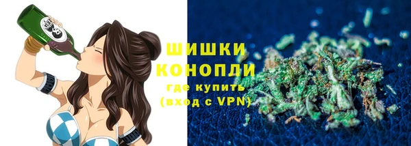 амф Гусь-Хрустальный