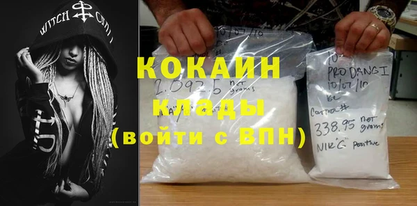 метадон Гусев