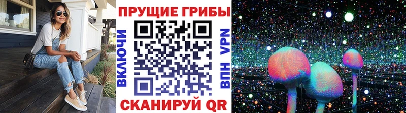 Галлюциногенные грибы Cubensis  hydra ссылки  Нурлат 
