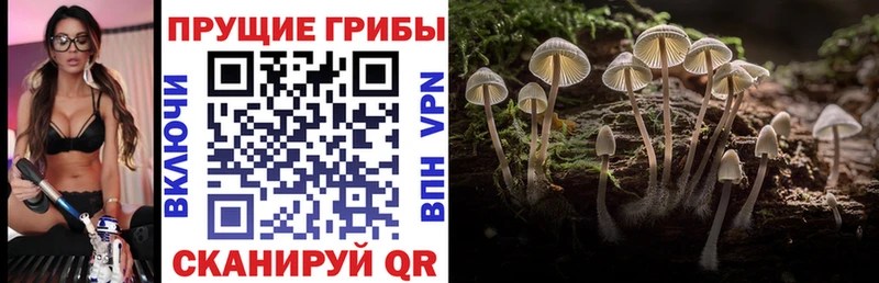 Галлюциногенные грибы Cubensis Нурлат