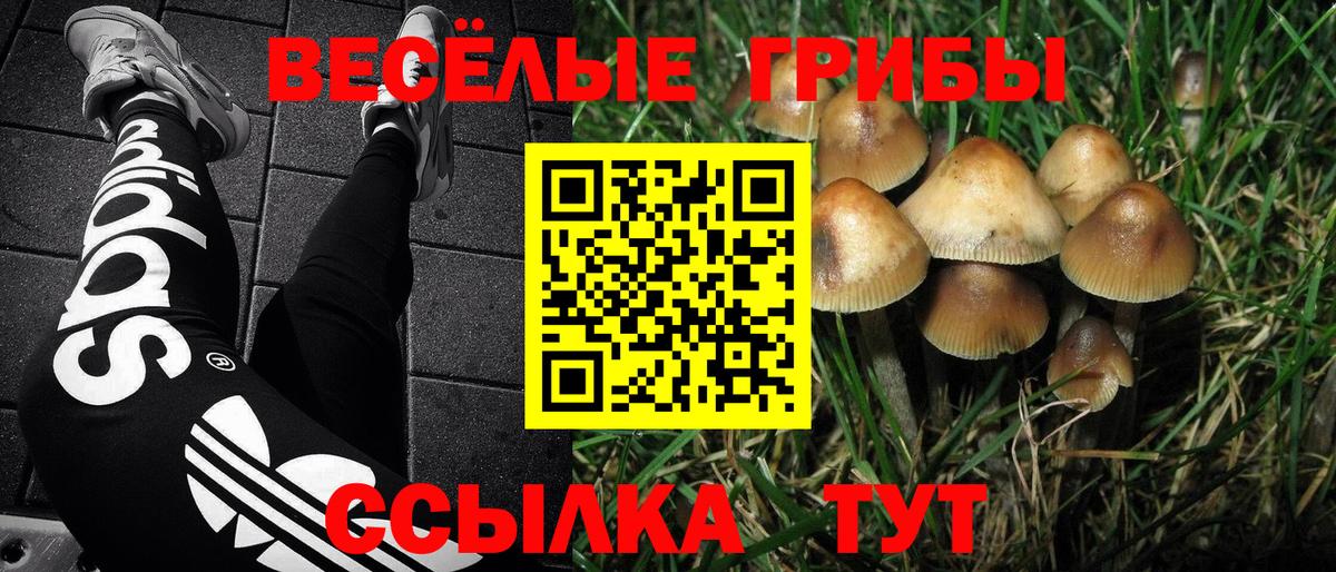 Codein  КОКАИН  Меф МЯУ МЯУ кристаллы  Нурлат  Вход с VPN  ГАШИШ  APVP СК кристаллы  Бошки Шишки  Экстази  ТГК 