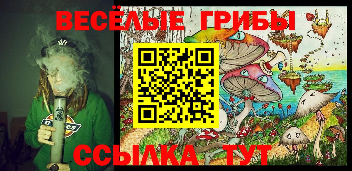Галлюциногенные грибы Psilocybe  Вход с VPN  Галлюциногенные грибы Cubensis  Нурлат 